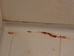 お風呂掃除・ユニットバスクリーニング手順1