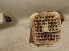 お風呂掃除・ユニットバスクリーニング手順3