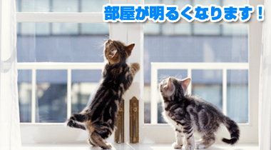 窓ガラス・サッシ